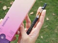 Easy Quitting Solutions: Nicotine Salts and Disposable Vapes Disposable Vapes