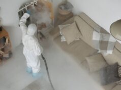 Clogged Drains and Unclean Toilets — The Birth Story of Every Drain Fly? Clogged Drains